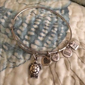 Alex and Ani Turtle Bracelet